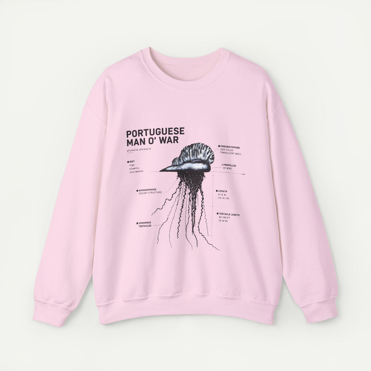 Portuguese Man O' War Anatomy Sweatshirt