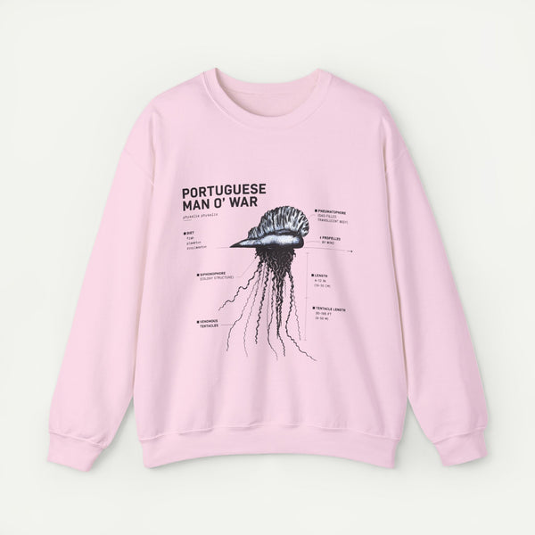 Portuguese Man O' War Anatomy Sweatshirt