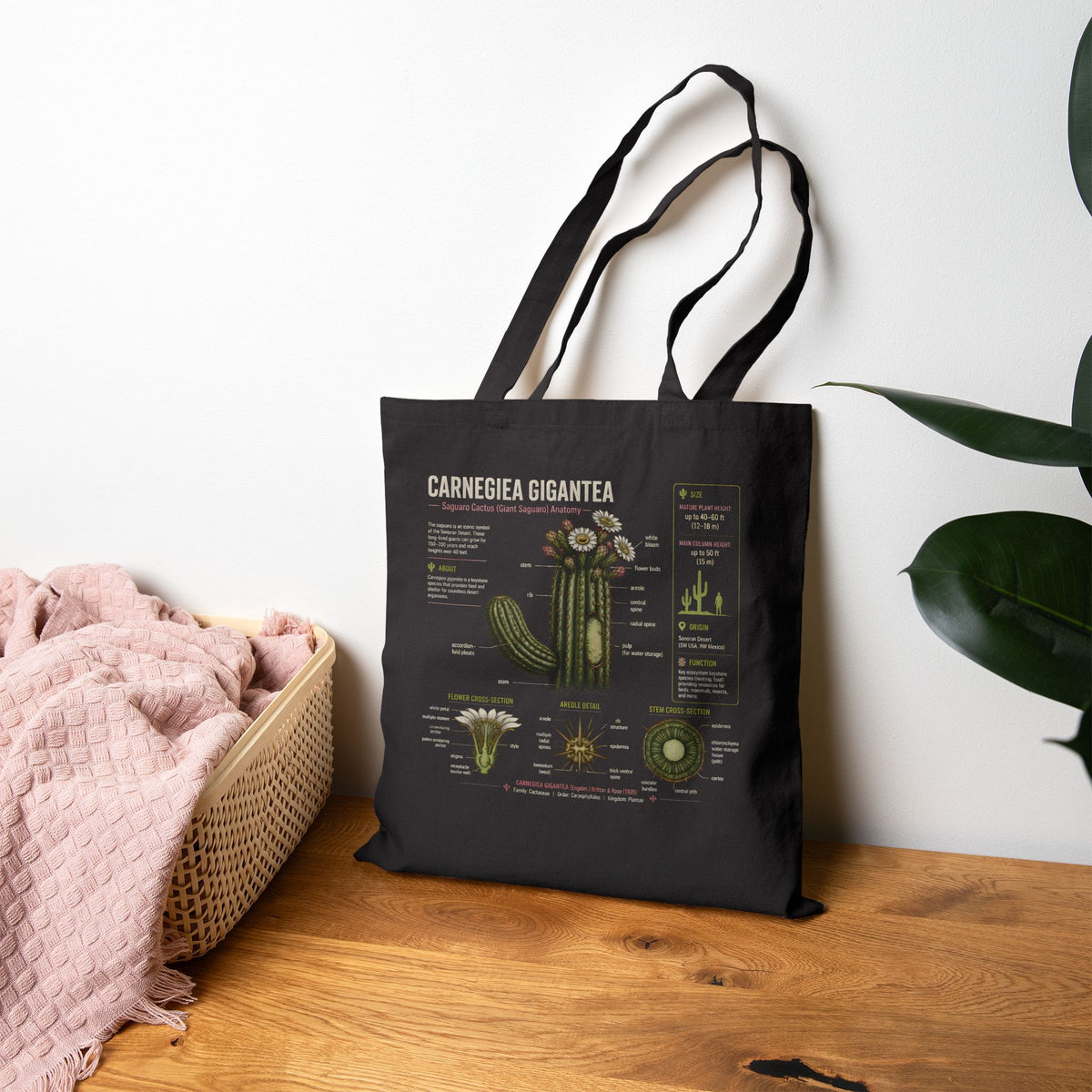 Cactus Anatomy Tote — Carnegiea Gigantea Botanical Diagram Canvas Bag