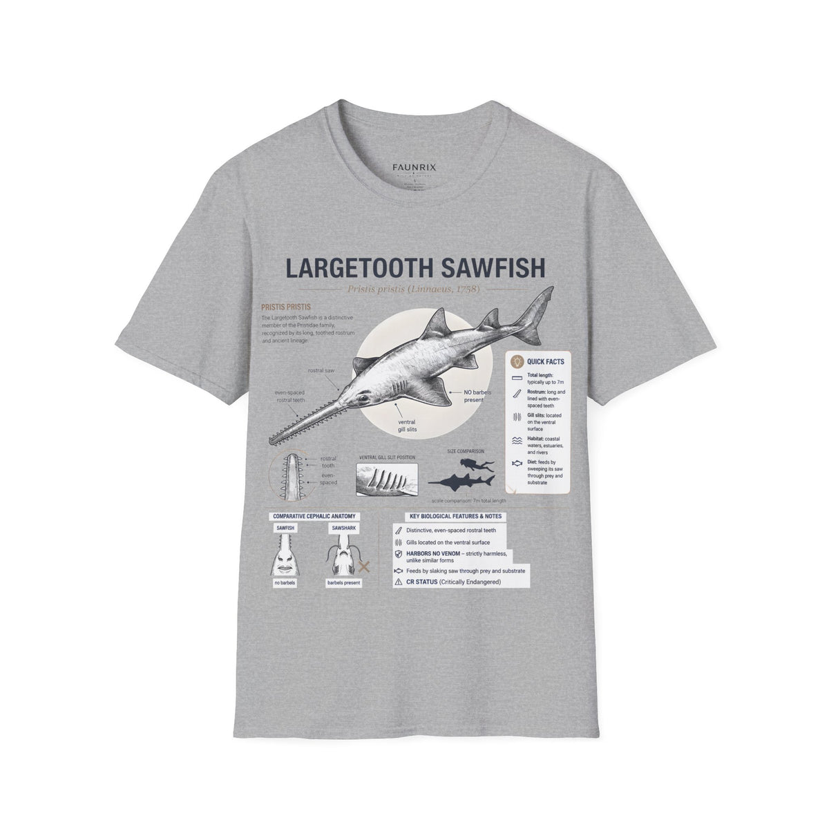 Largetooth Sawfish Anatomy T-Shirt — Marine Biology Graphic Tee