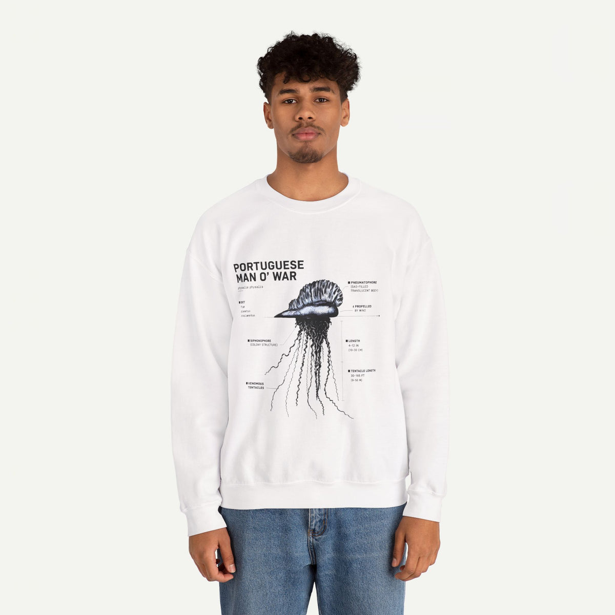 Portuguese Man O' War Anatomy Sweatshirt