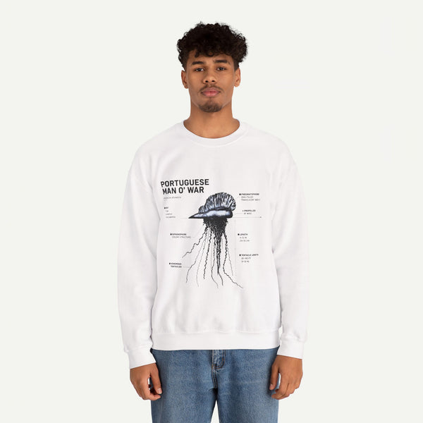 Portuguese Man O' War Anatomy Sweatshirt