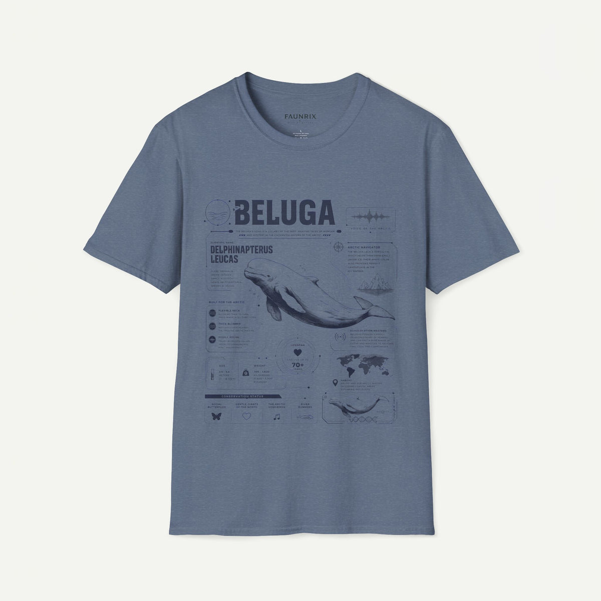 Beluga Whale Anatomy T-Shirt — Marine Life Illustration Tee Delphinapterus leucas