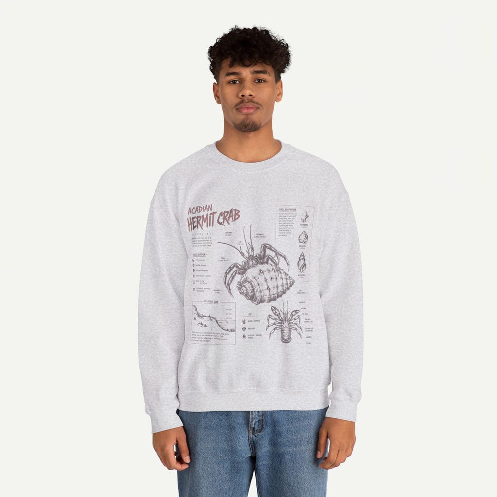 Hermit Crab Anatomy Sweatshirt — Acadian Hermit Crab Illustration