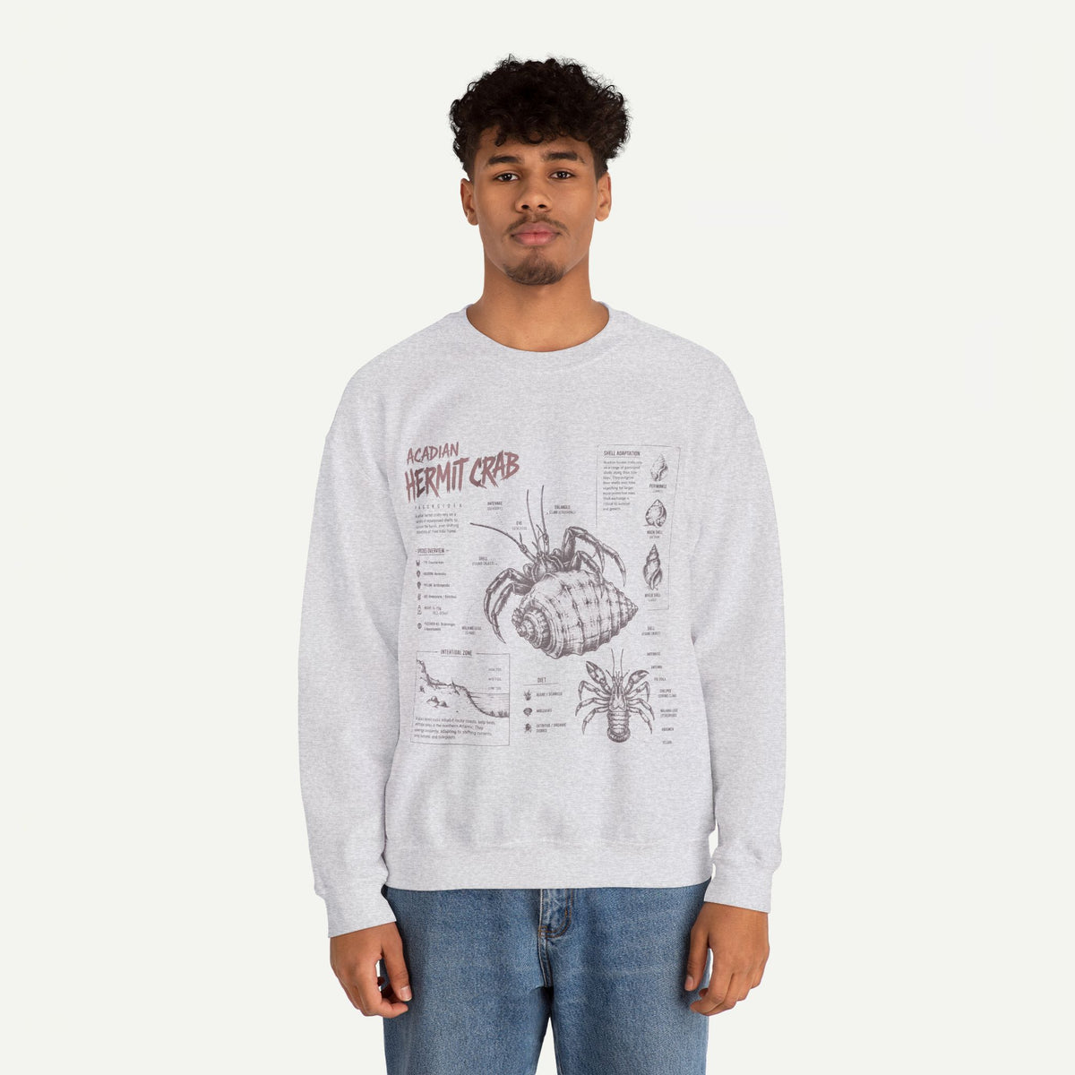 Hermit Crab Anatomy Sweatshirt — Acadian Hermit Crab Illustration