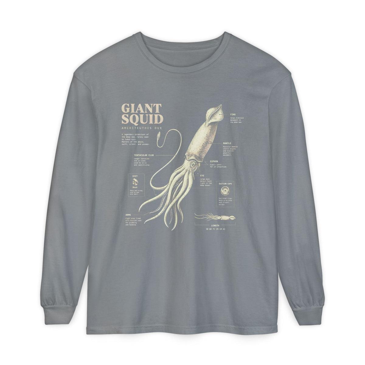 Giant Squid Anatomy Long Sleeve Tee