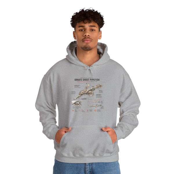 Ornate Ghost Pipefish Anatomy Hoodie — Scientific Diagram Pullover