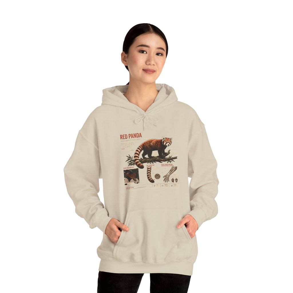 Red Panda Anatomy Hoodie — Vintage Wildlife Guide Sweatshirt