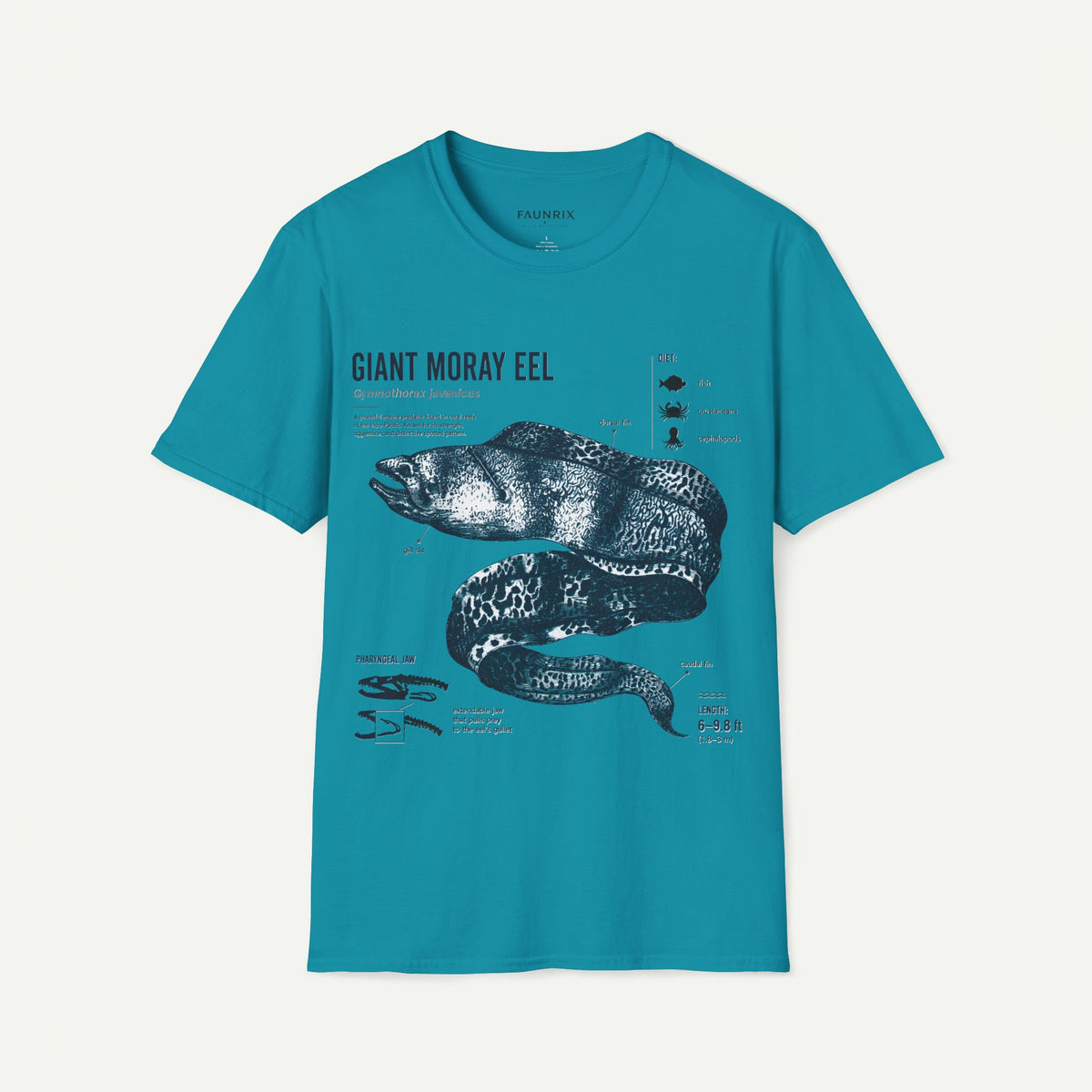 Moray Eel Anatomy Graphic T-Shirt — Vintage Scientific Illustration Tee
