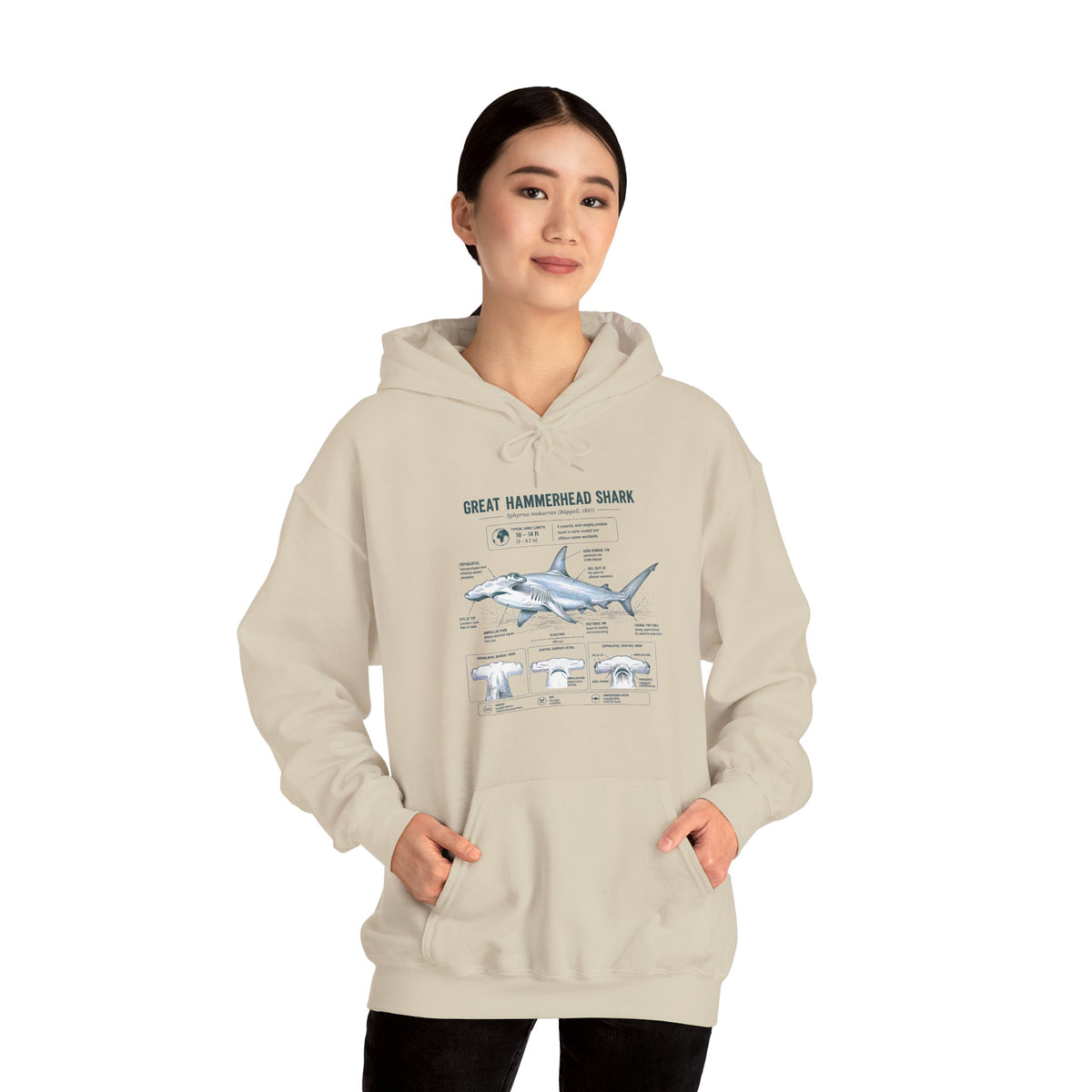 Shark Anatomy Hoodie — Great Hammerhead Shark Diagram Sweatshirt