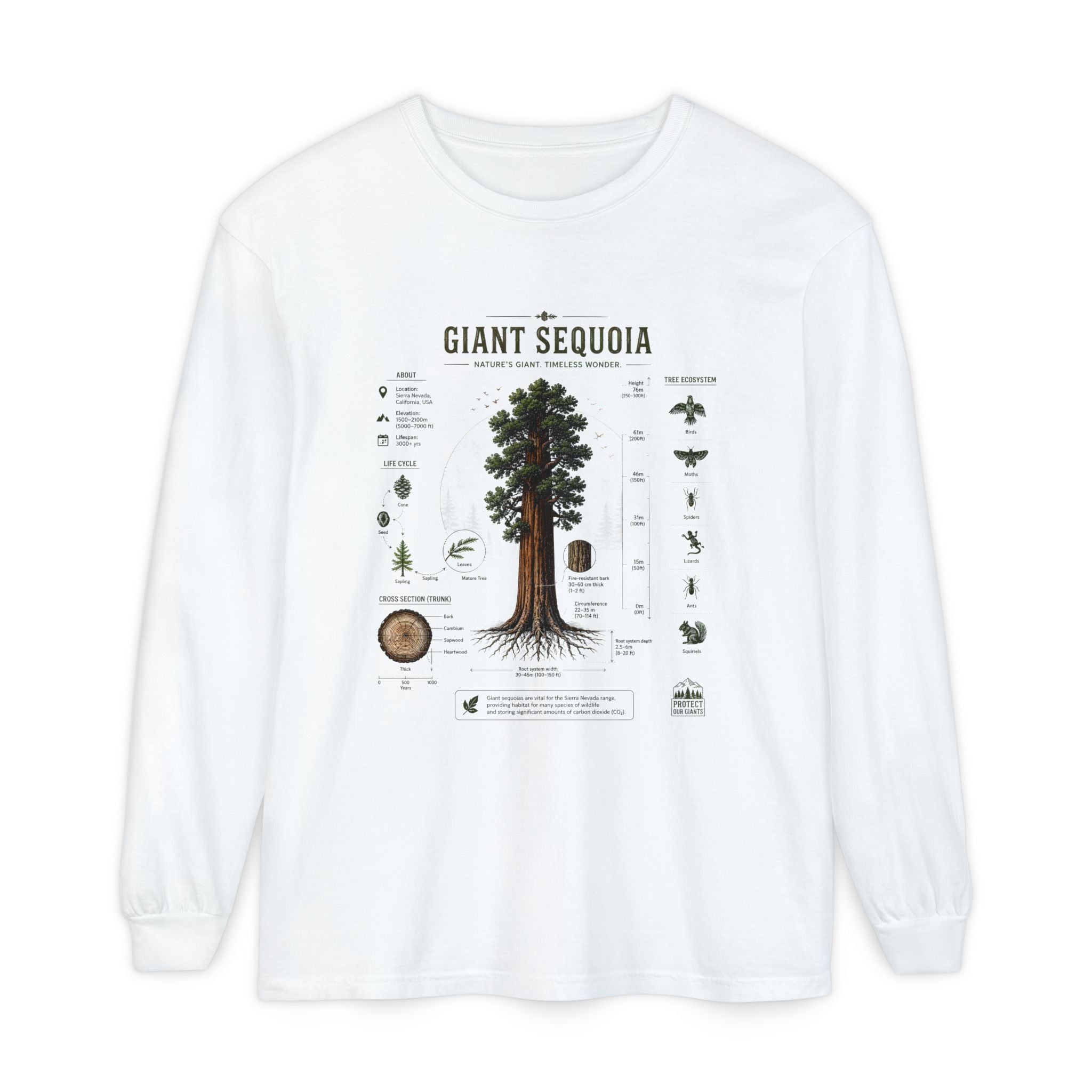 Giant Sequoia Anatomy Long Sleeve Tee Secondary image