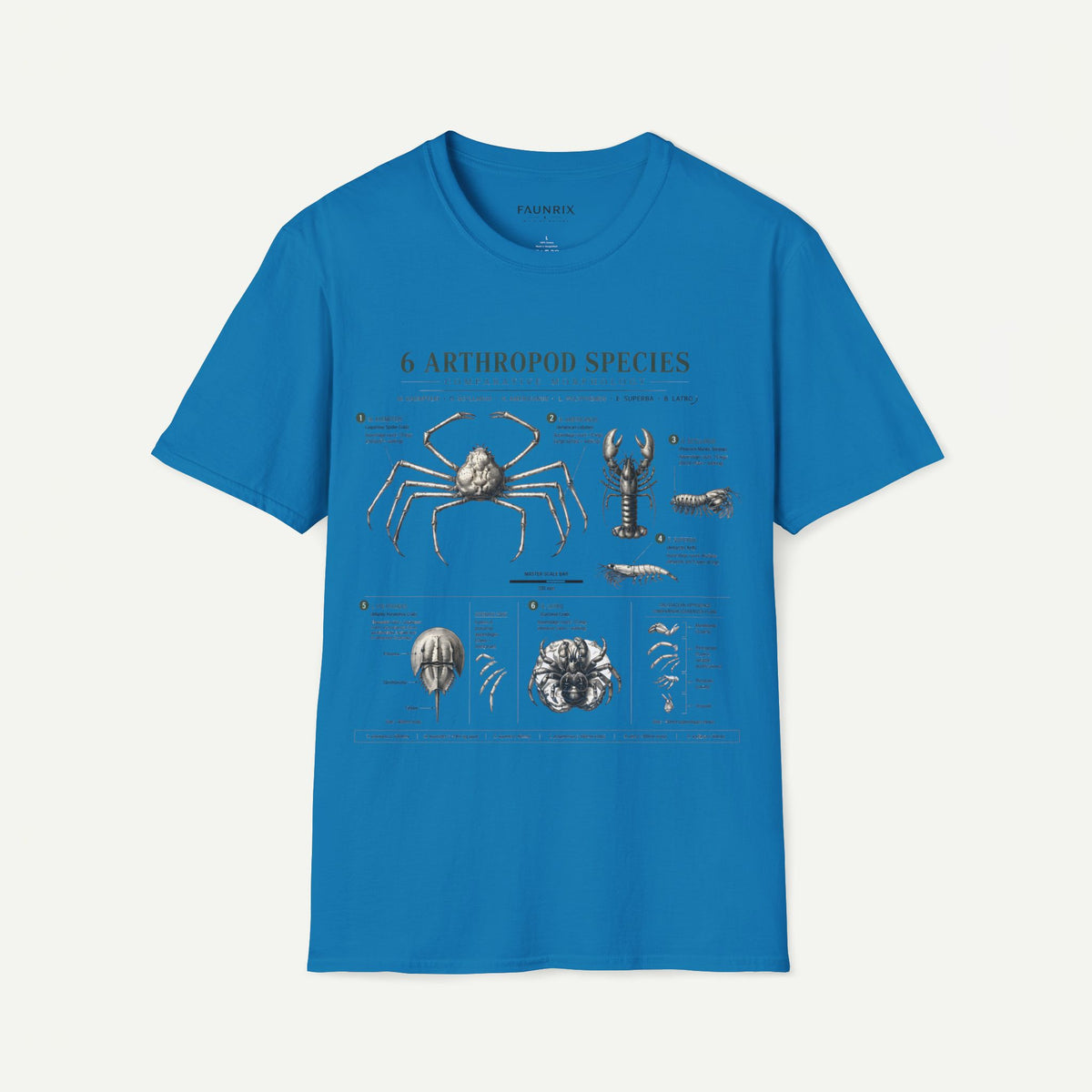 Arthropod Species Graphic Anatomy T-Shirt — 6 Detailed Arthropod Illustrations