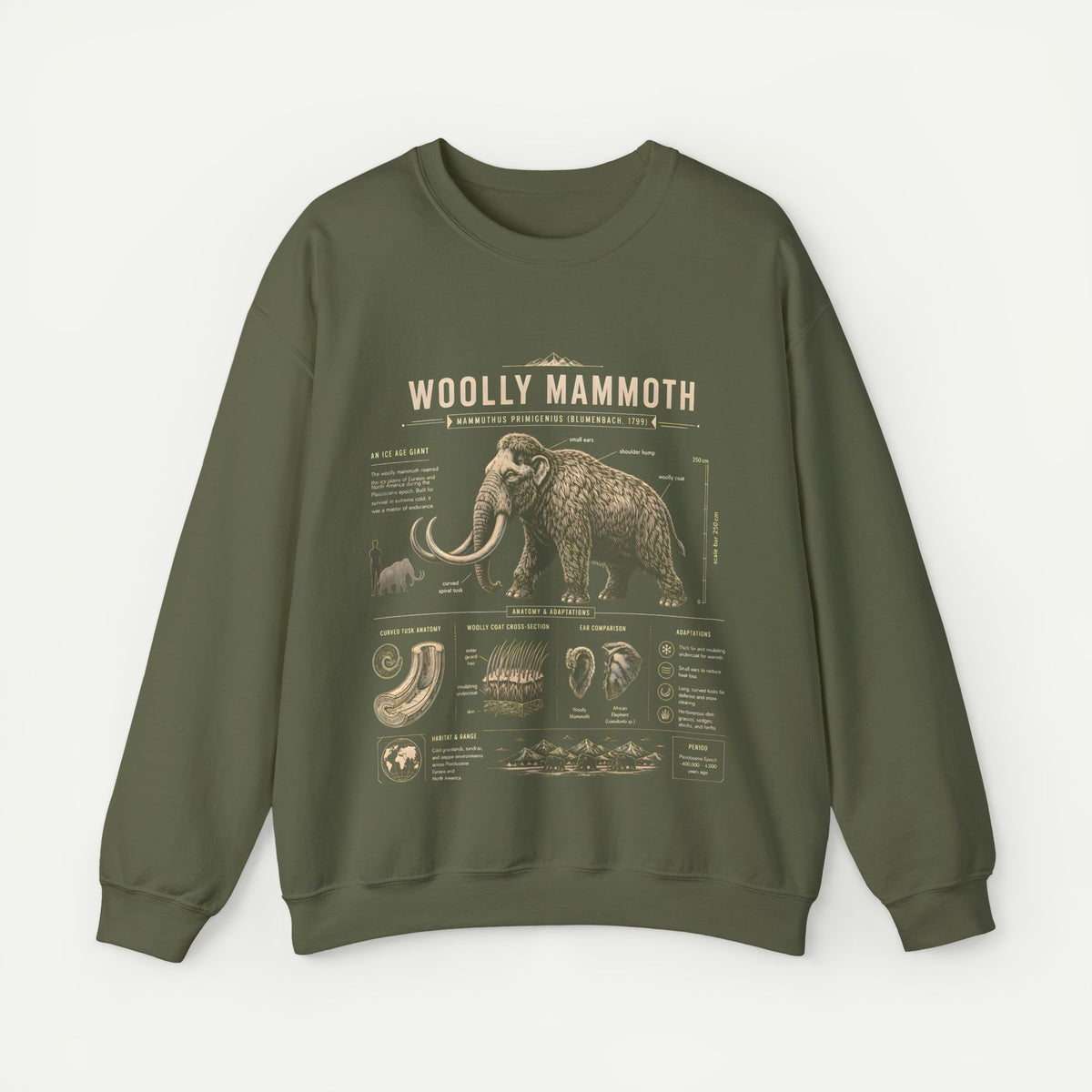 Woolly Mammoth Anatomy Sweatshirt — Vintage Natural History Crewneck