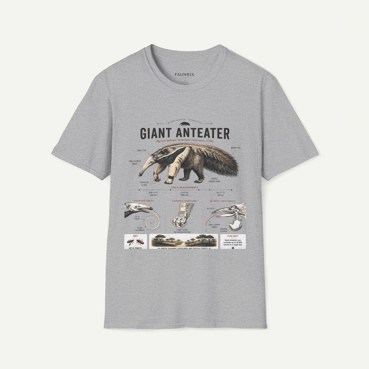 Giant Anteater Anatomy Tee — Vintage Natural History Animal Graphic T-Shirt Main image