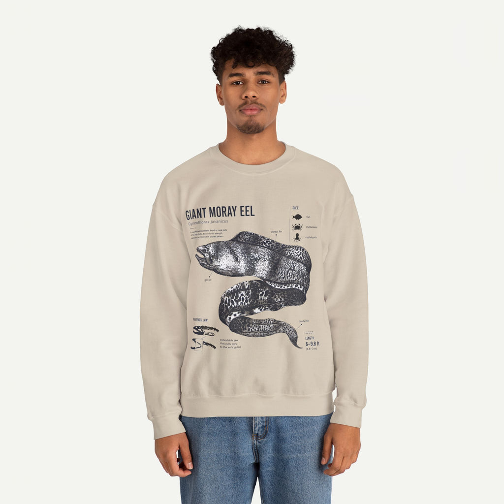 Giant Moray Eel Anatomy Sweatshirt