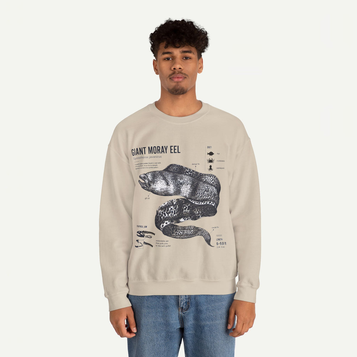 Giant Moray Eel Anatomy Sweatshirt