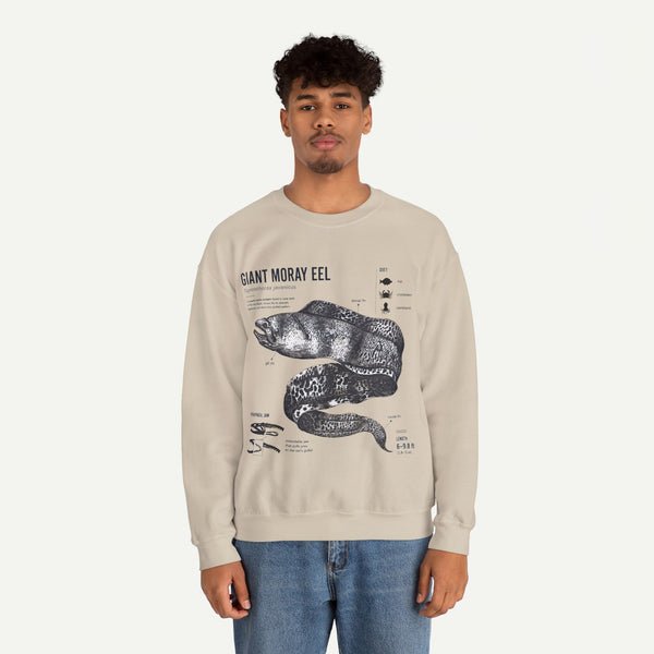 Giant Moray Eel Anatomy Sweatshirt