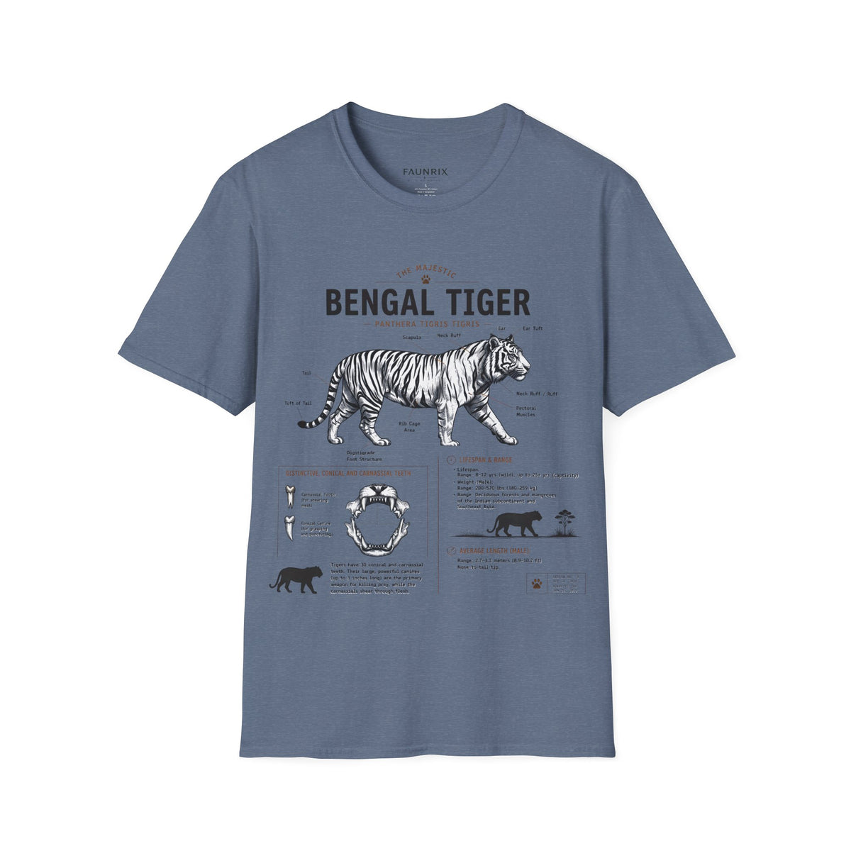 Bengal Tiger Vintage Anatomy T-Shirt