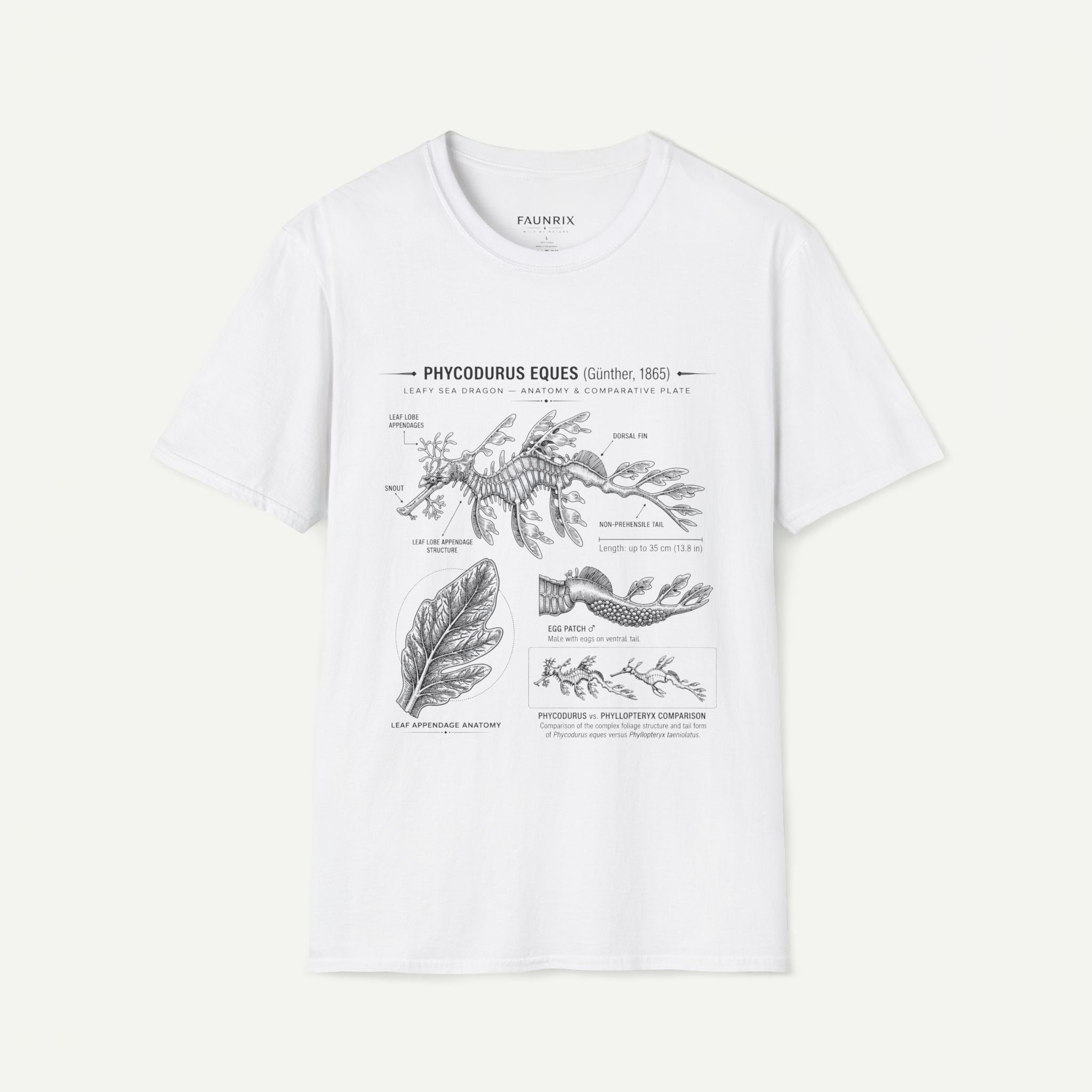 Sea Dragon Anatomy T-Shirt — Phycodurus Eques Botanical Illustration Tee Secondary image