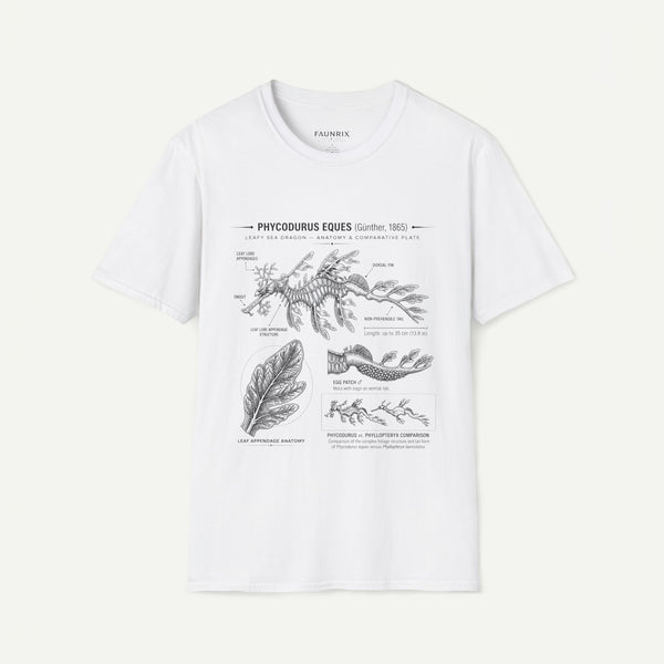 Sea Dragon Anatomy T-Shirt — Phycodurus Eques Botanical Illustration Tee