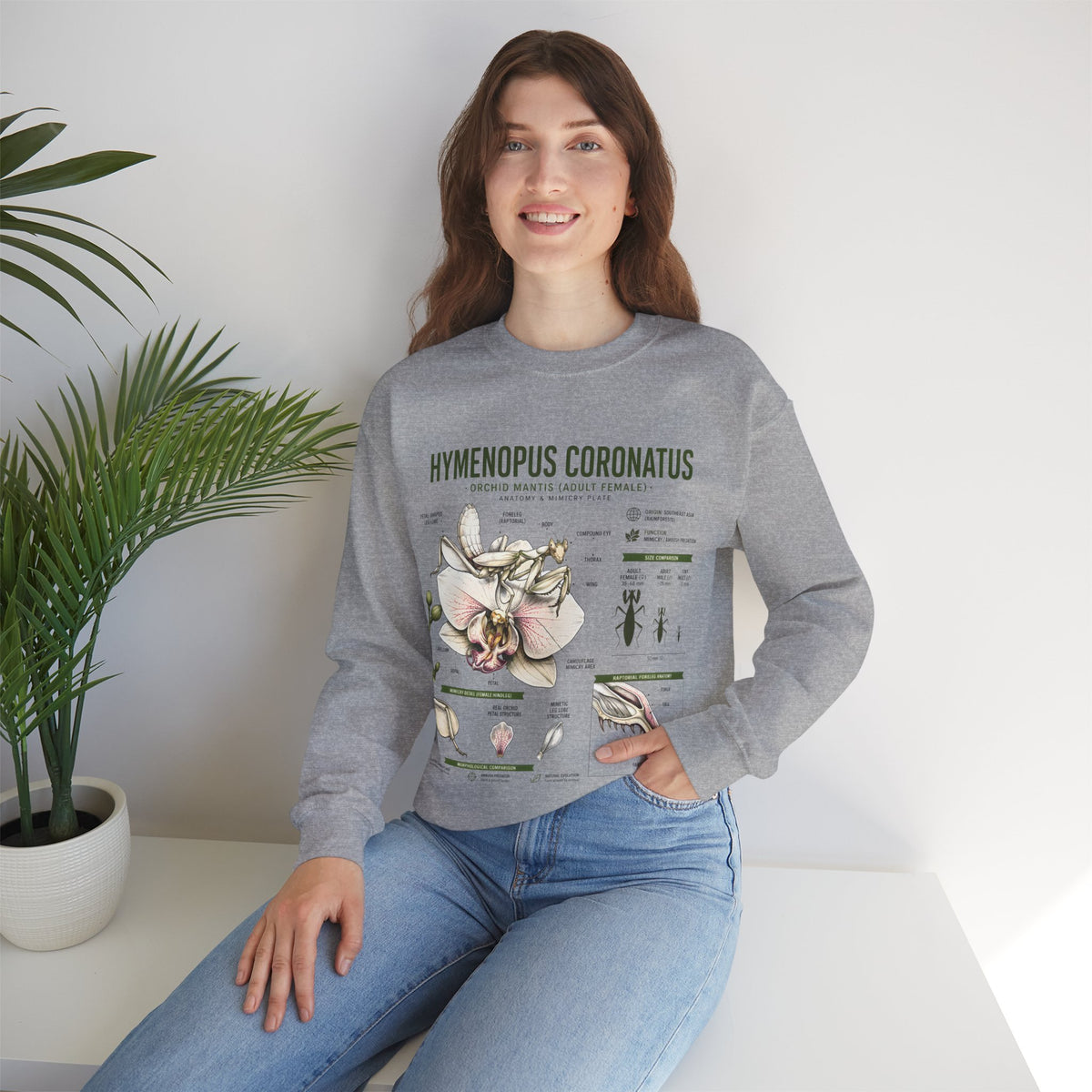 Botanical Anatomy Sweatshirt — Hymenopus Coronatus Illustration
