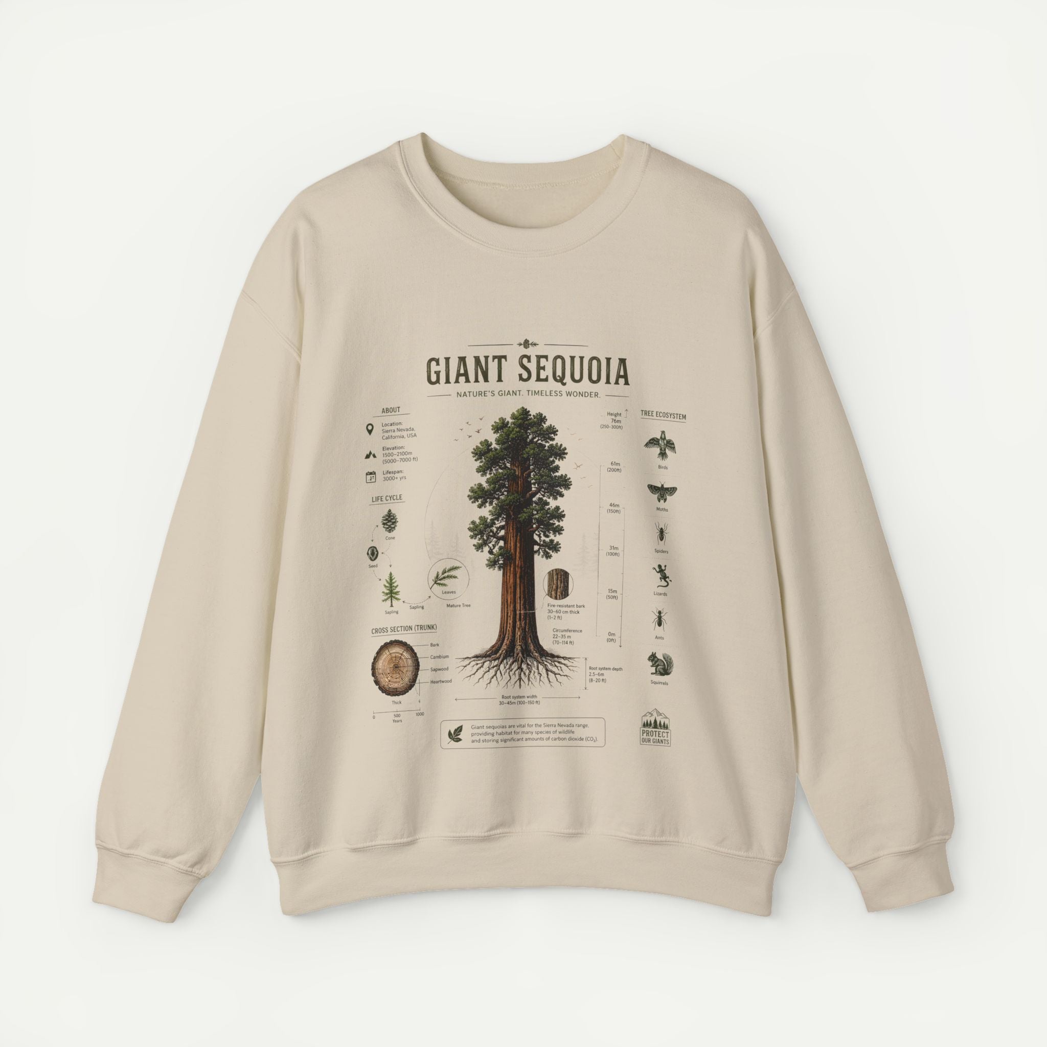 Giant Sequoia Botanical Sweatshirt Secondary image