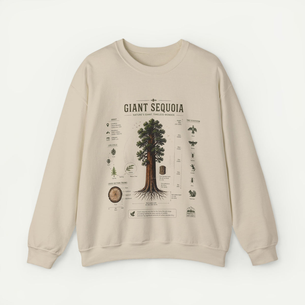 Giant Sequoia Botanical Sweatshirt