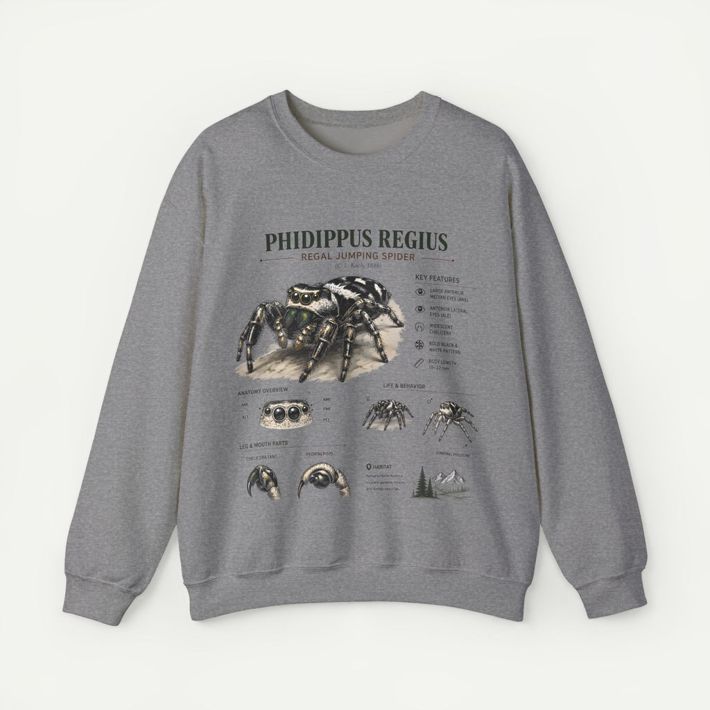 Spider Anatomy Crewneck Sweatshirt — Phidippus Regius Jumping Spider Illustration