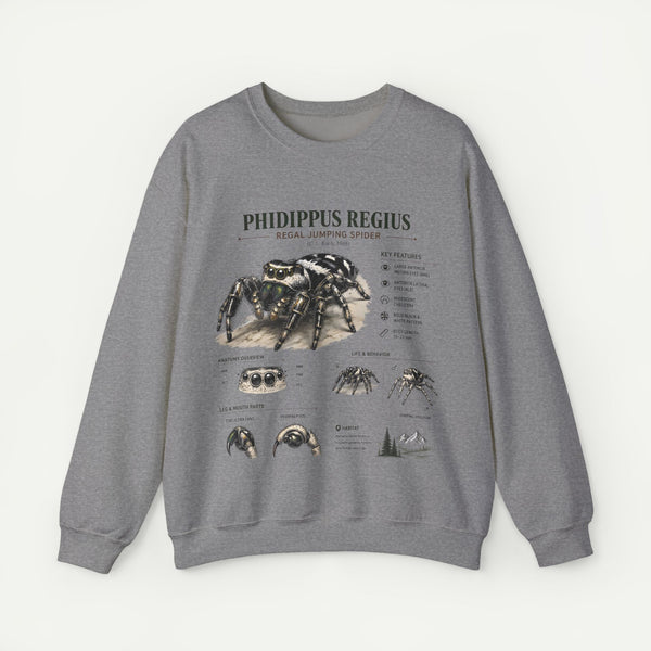 Spider Anatomy Crewneck Sweatshirt — Phidippus Regius Jumping Spider Illustration
