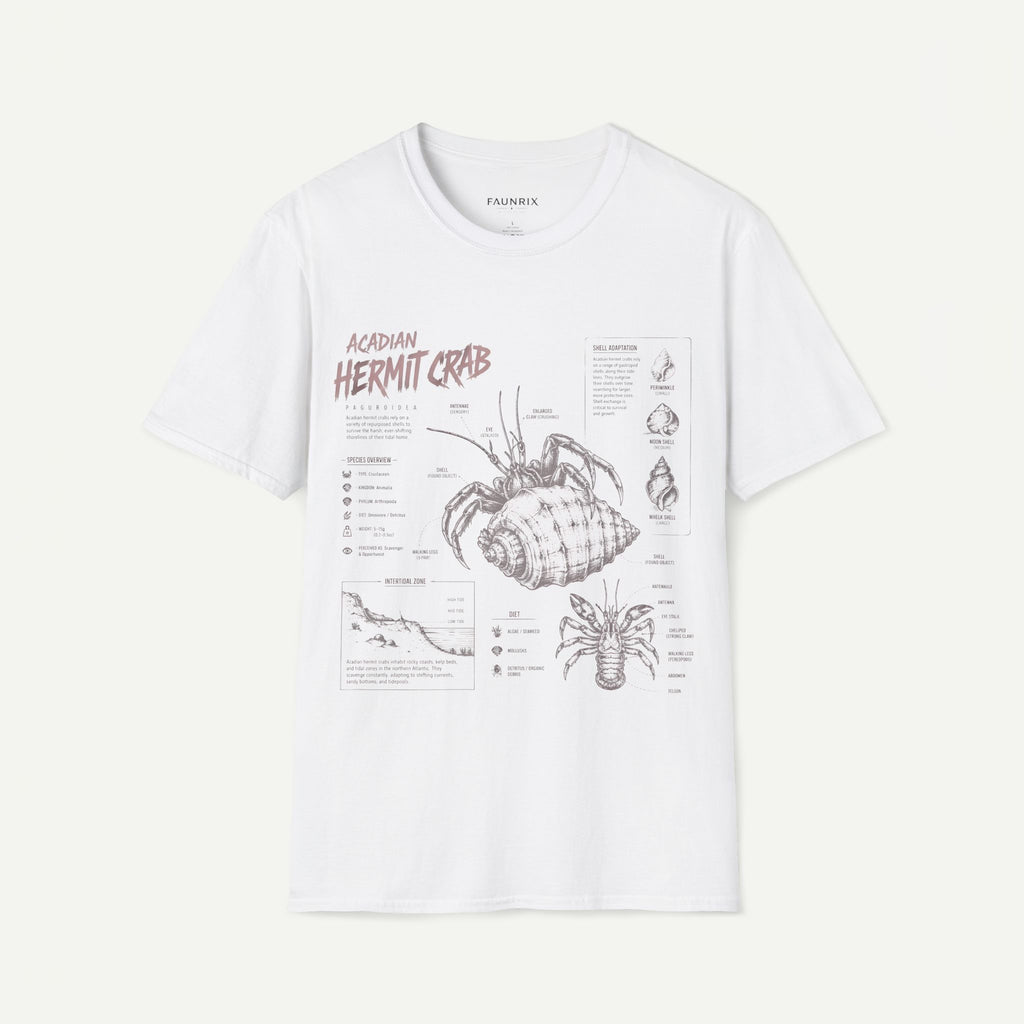 Hermit Crab Anatomy T-Shirt — Acadian Marine Illustration Tee