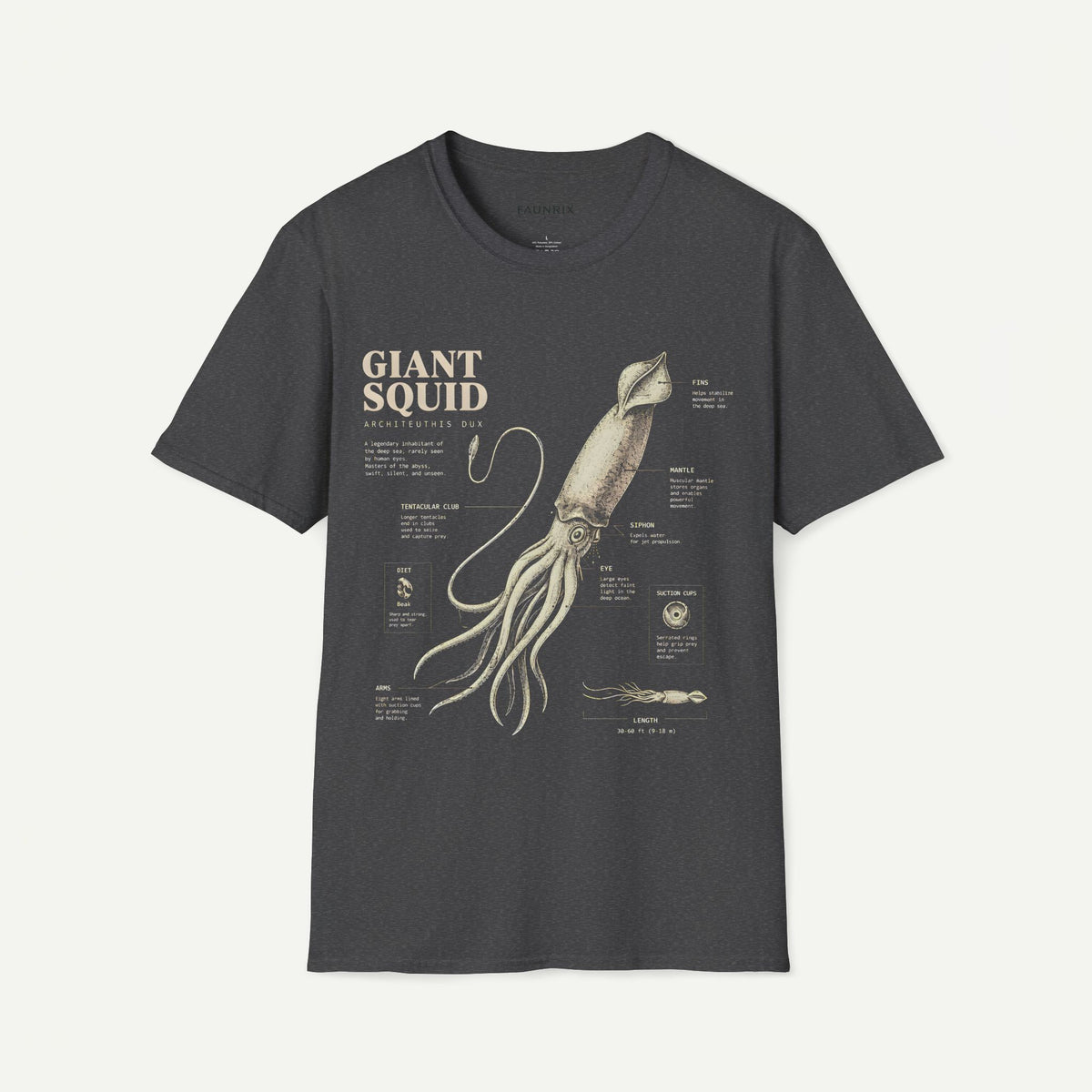 Giant Squid Anatomy T-Shirt — Vintage Marine Biology Graphic Tee