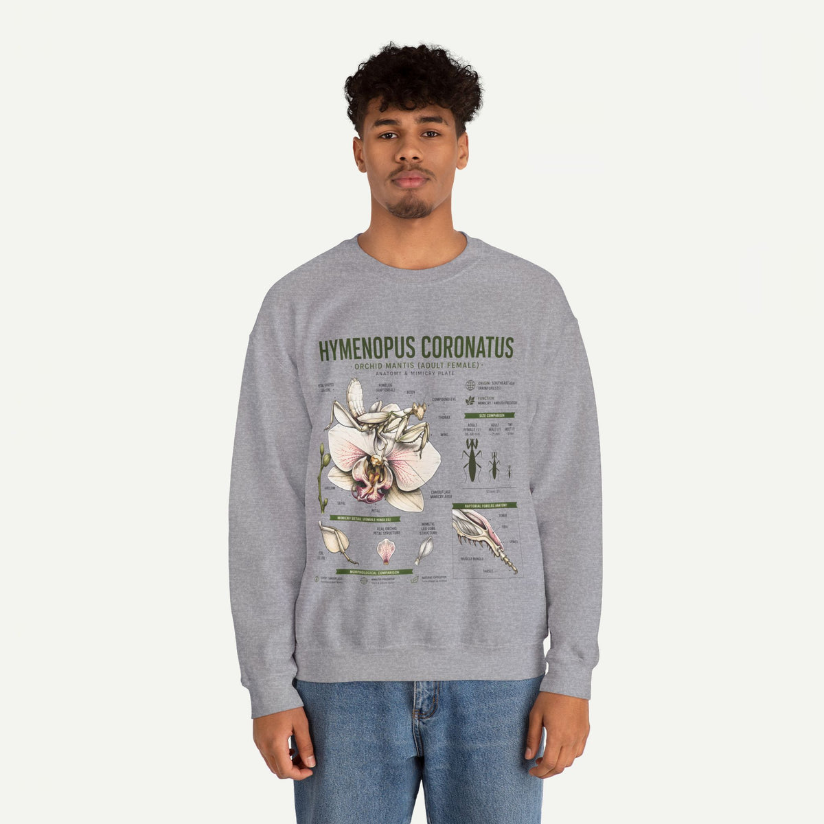 Botanical Anatomy Sweatshirt — Hymenopus Coronatus Illustration