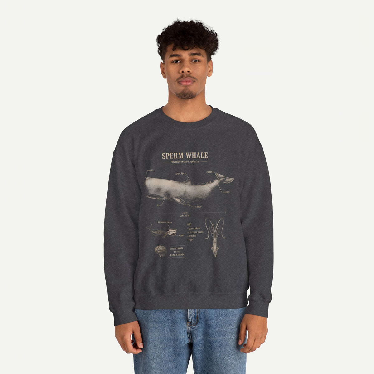 Sperm Whale Anatomy Sweatshirt — Vintage Marine Biology Illustration