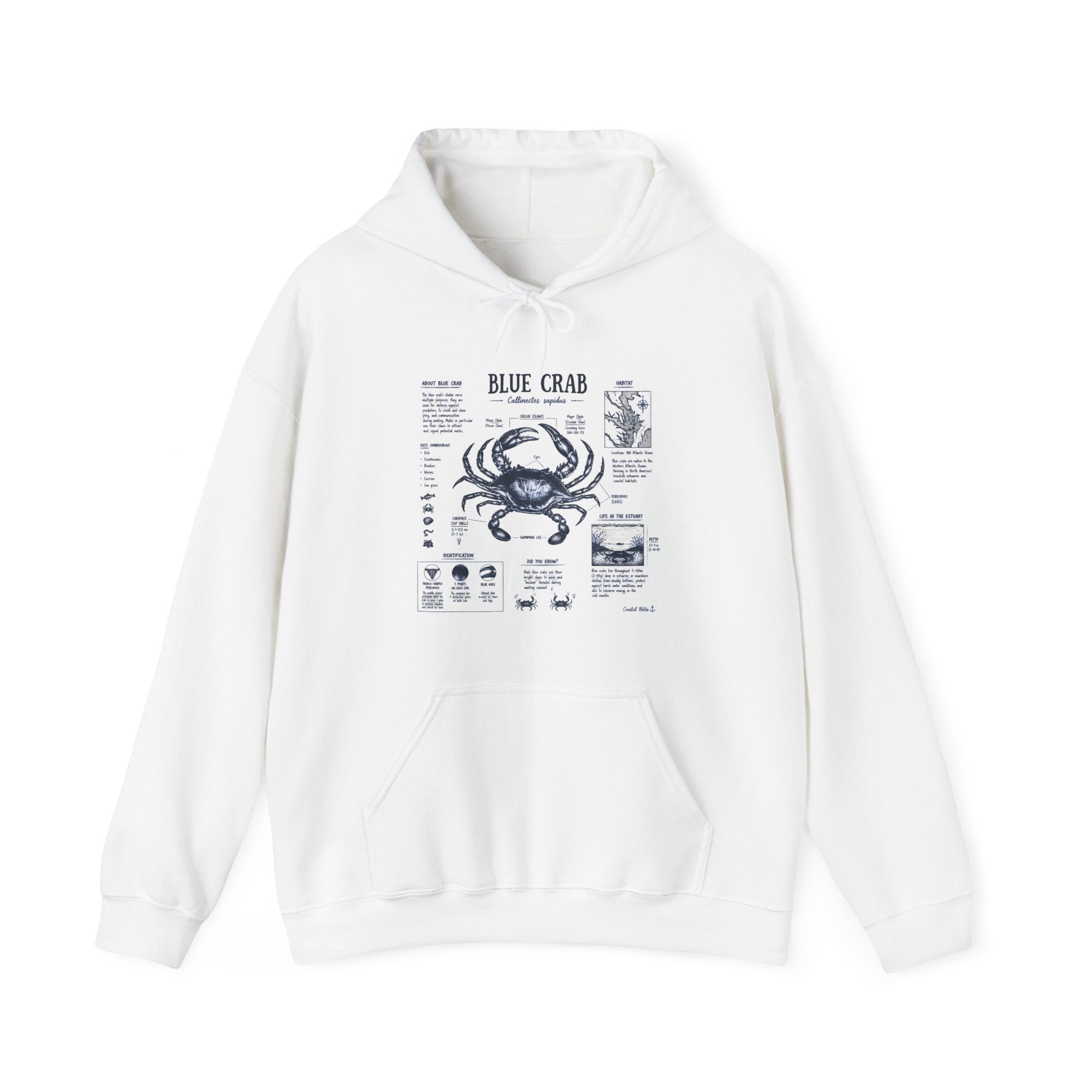 Blue Crab Anatomy Hoodie — Nautical Seafood Diagram Sweatshirt Secondary image