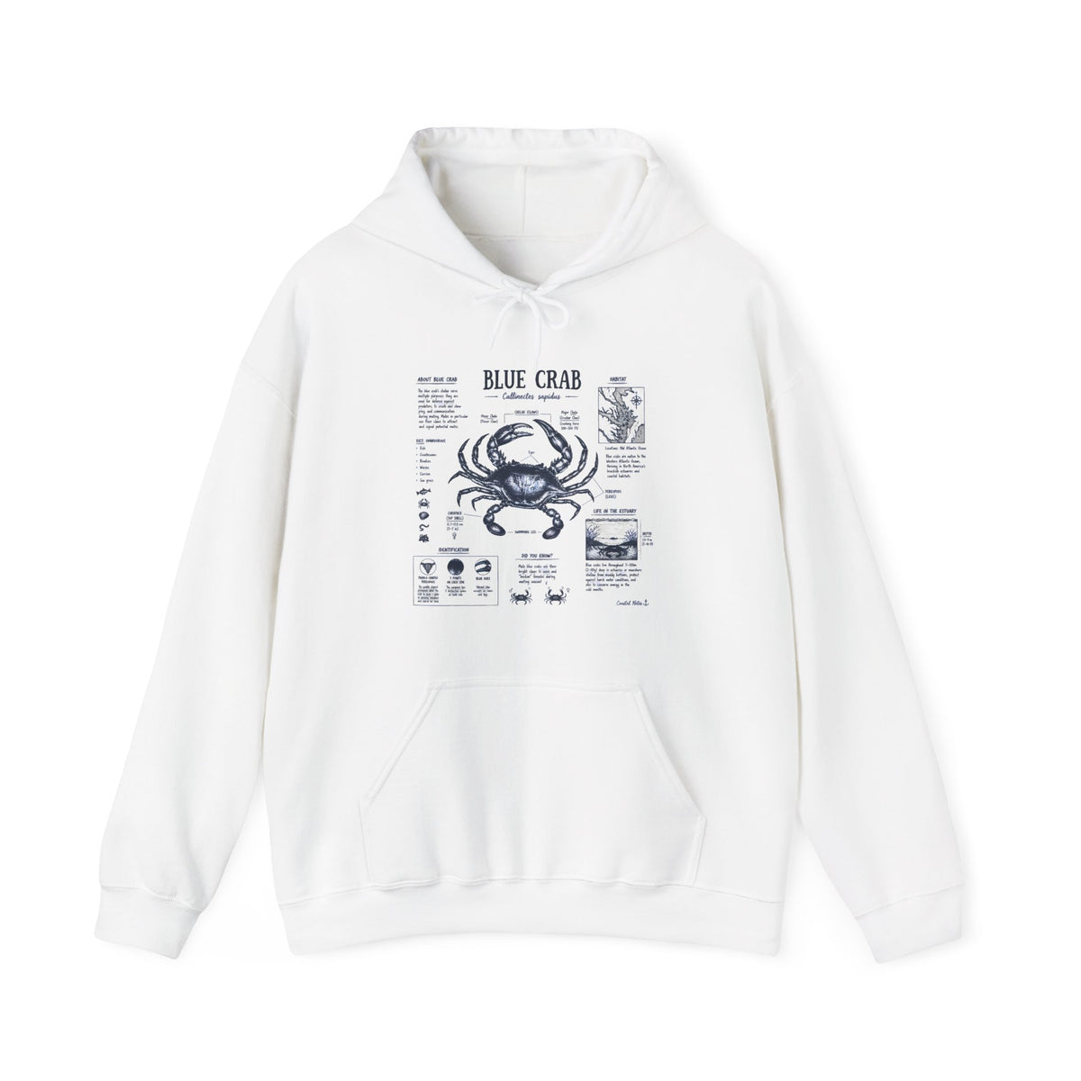 Blue Crab Anatomy Hoodie — Nautical Seafood Diagram Sweatshirt
