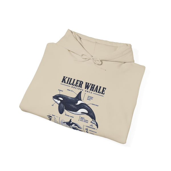 Killer Whale Anatomy Hoodie — Orca Scientific Diagram Sweatshirt