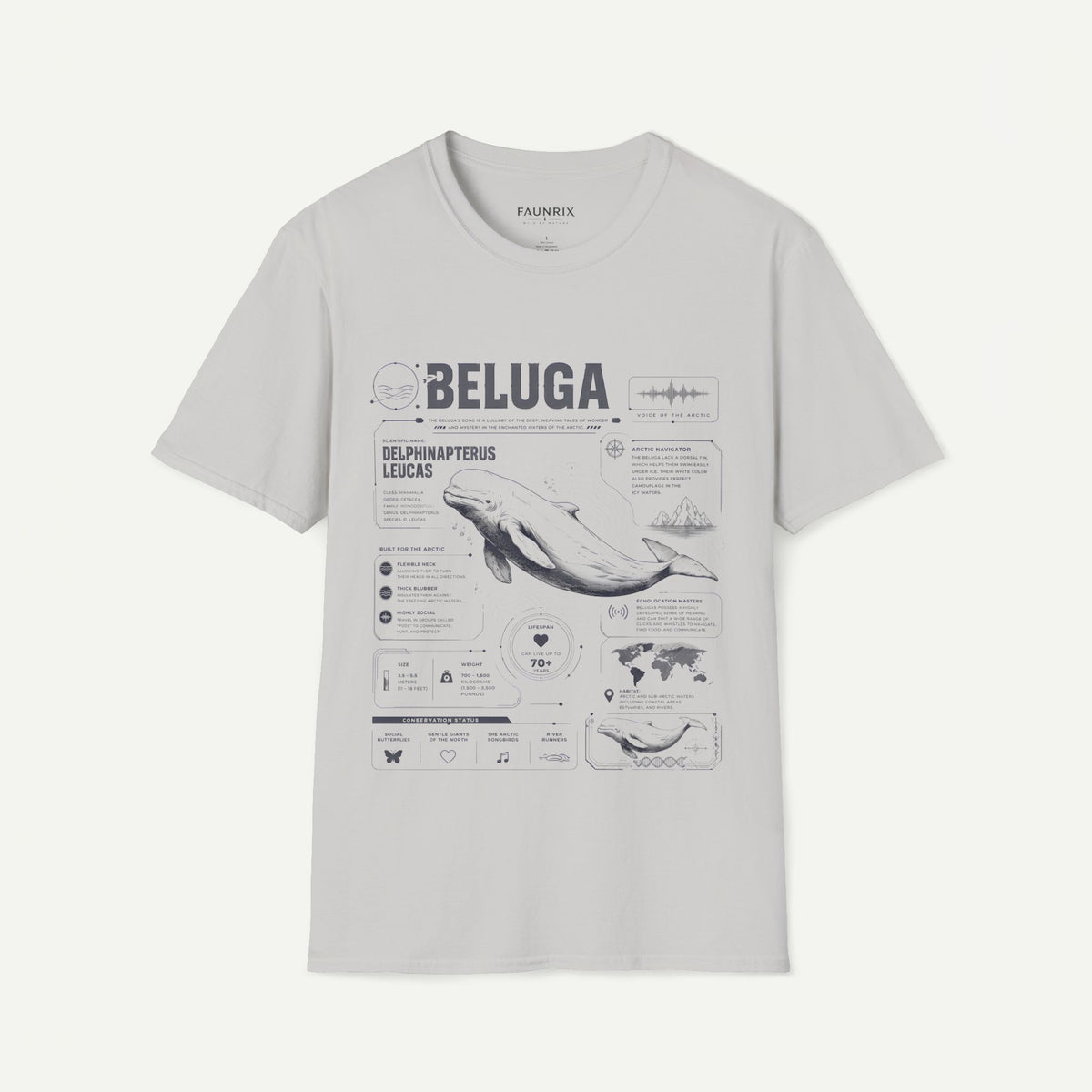Beluga Whale Anatomy T-Shirt — Marine Life Illustration Tee Delphinapterus leucas