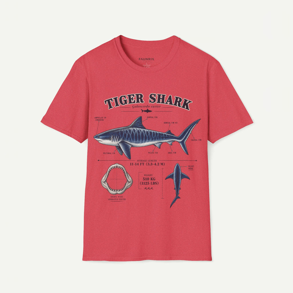 Tiger Shark Anatomy T-Shirt — Vintage Marine Biology Graphic Tee