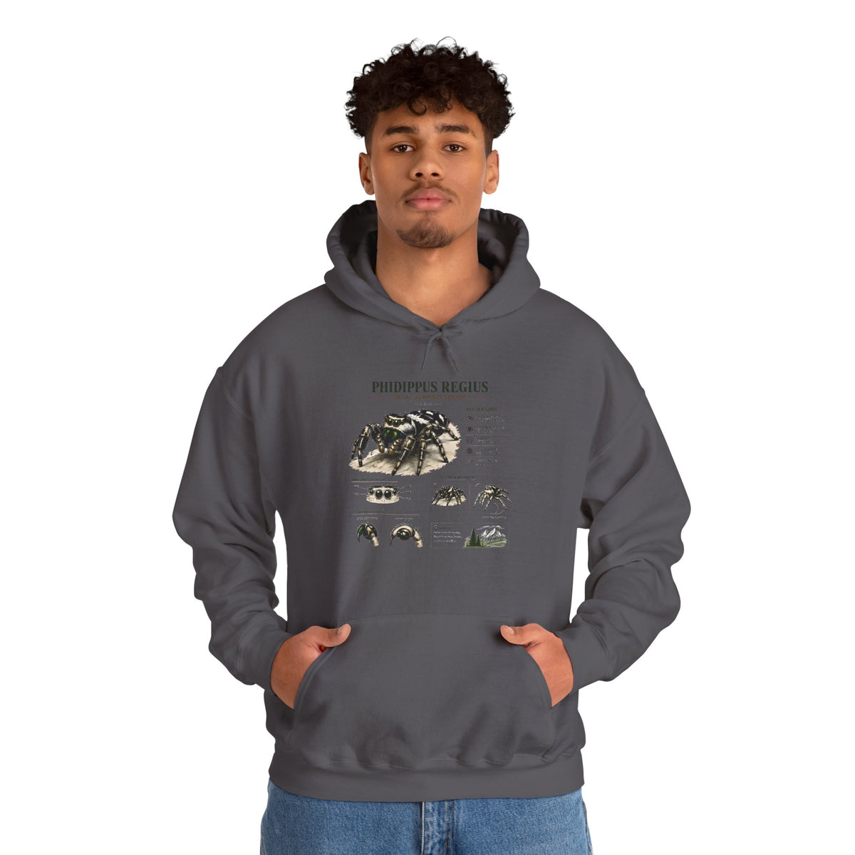 Tarantula Species Hoodie — Phidippus Regius Educational Spider Sweatshirt