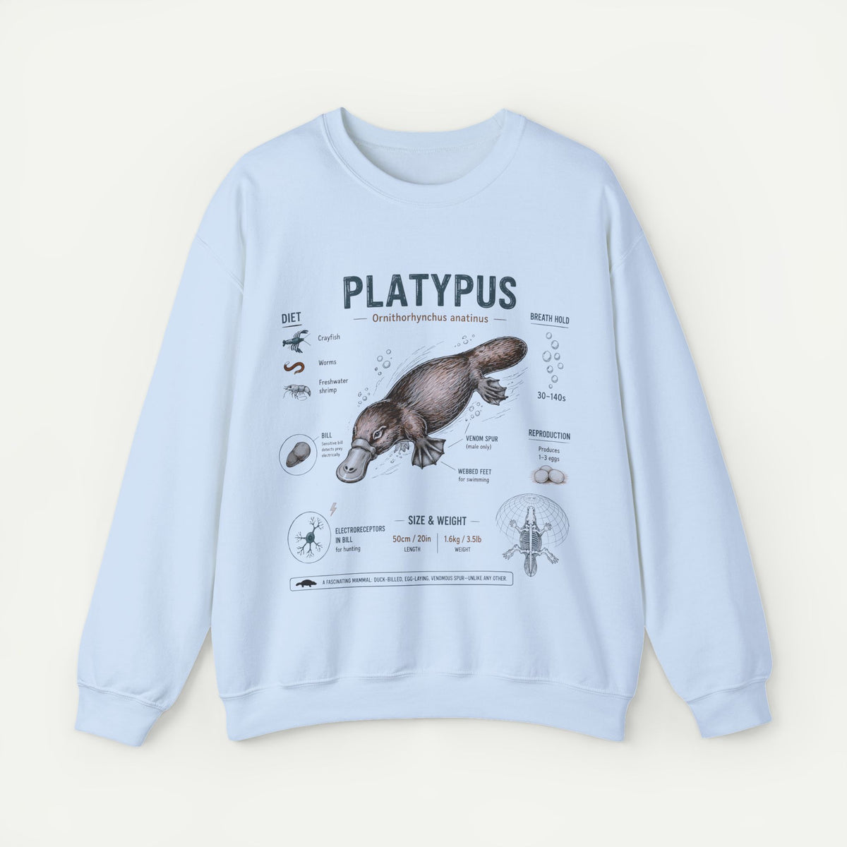 Platypus Anatomy Sweatshirt — Vintage Scientific Illustration