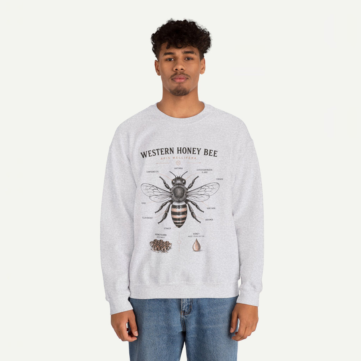 Western Honey Bee Sweatshirt — Vintage Bee Anatomy Graphic