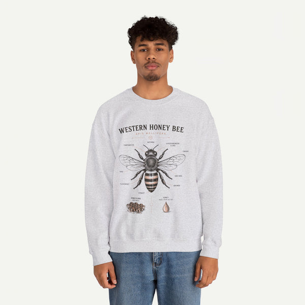 Western Honey Bee Sweatshirt — Vintage Bee Anatomy Graphic