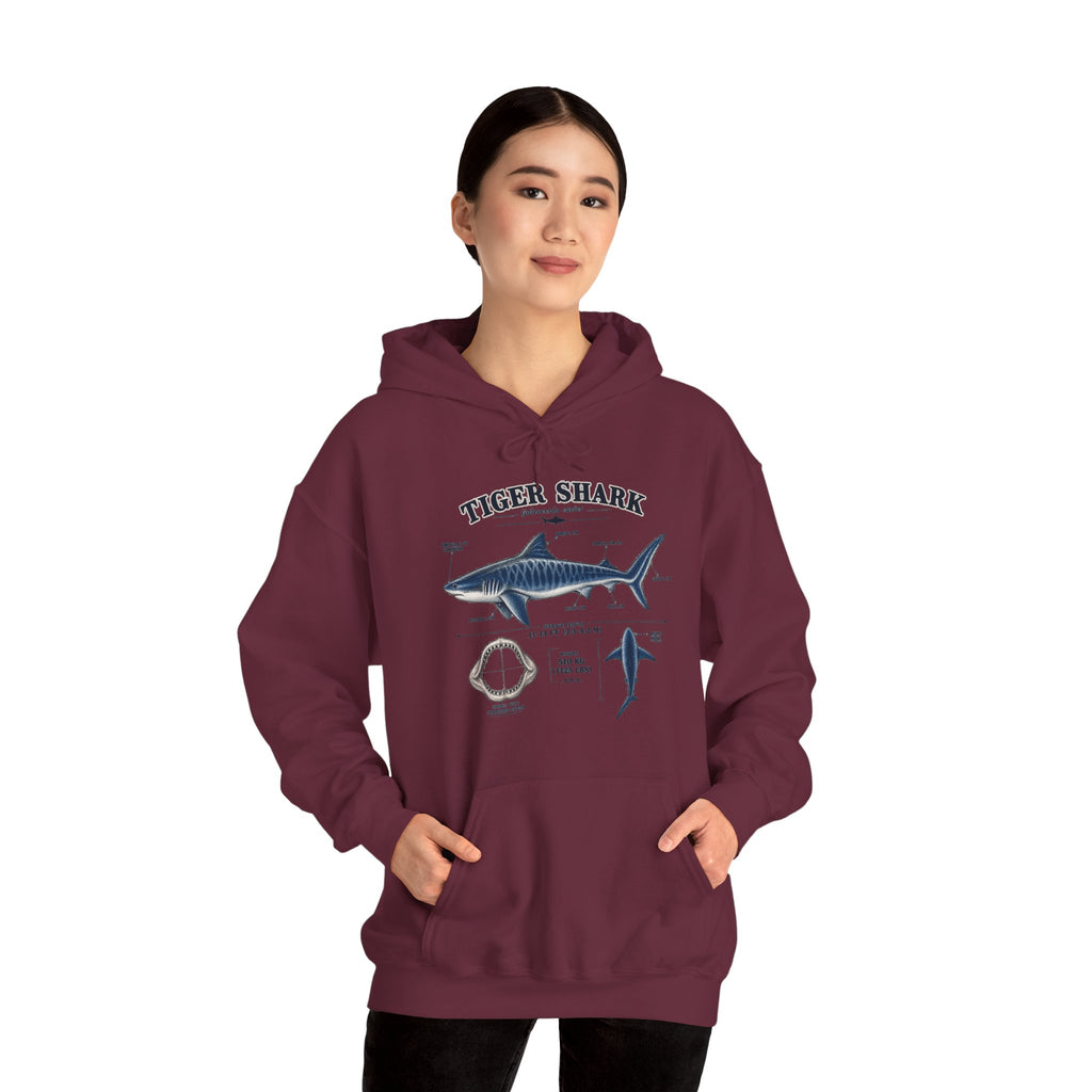 Tiger Shark Anatomy Hoodie — Nautical Science Graphic Pullover