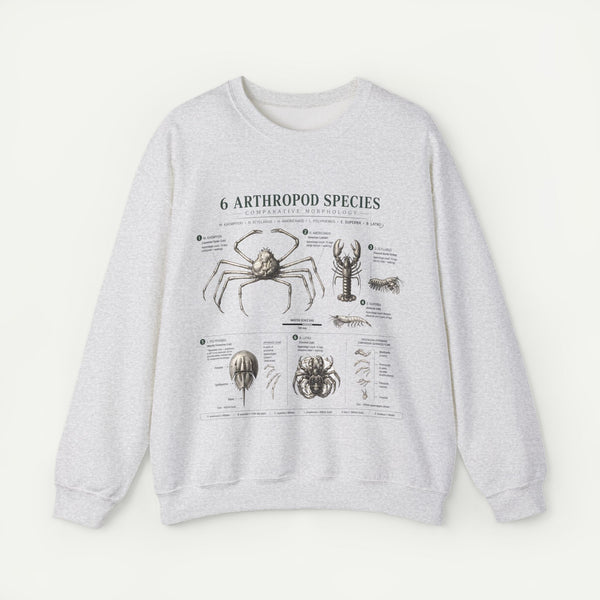 Arthropod Species Diagram Sweatshirt — Vintage Scientific Illustration Crewneck