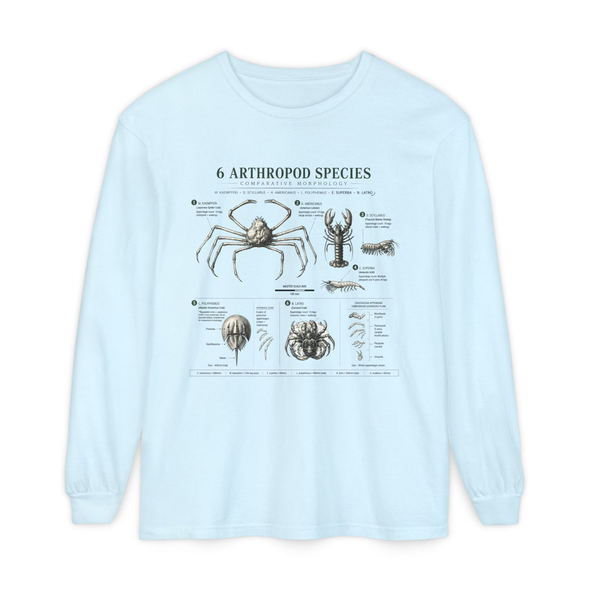 Arthropod Species Chart Long Sleeve Tee — Vintage Scientific Insect Diagram Shirt