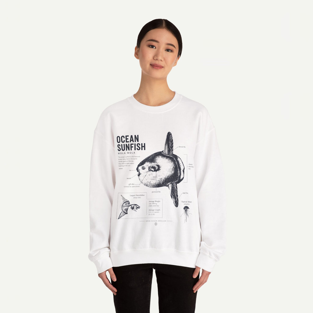 Ocean Sunfish Sweatshirt — Vintage Marine Illustration Pullover