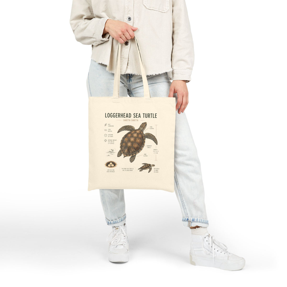 Loggerhead Sea Turtle Anatomy Canvas Tote — Educational Marine Life Beach Bag