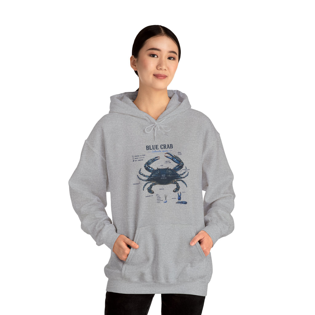 Blue Crab Anatomy Hoodie — Nautical Marine Biology Graphic Sweatshirt