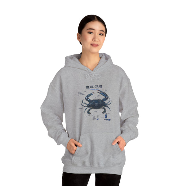 Blue Crab Anatomy Hoodie — Nautical Marine Biology Graphic Sweatshirt