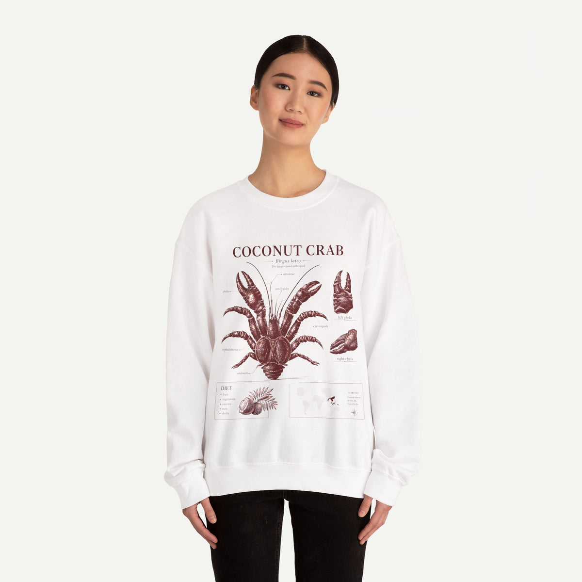 Coconut Crab Anatomy Crewneck Sweatshirt
